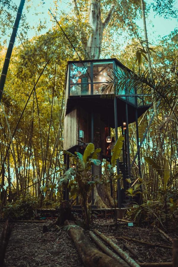 Amanatu Ecolodge & Spa Quimbaya Esterno foto