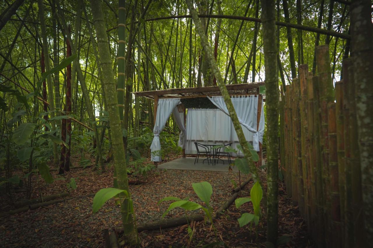 Amanatu Ecolodge & Spa Quimbaya Esterno foto